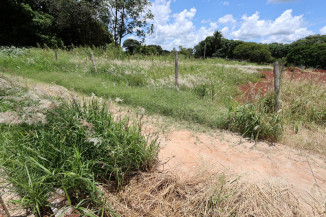 Prefeitura de Dourados começa a autuar proprietários de terrenos com mato e sujeira no dia 5