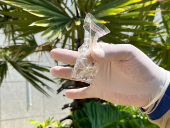 Estado alerta para prevenção contra a dengue e chikungunya no Carnaval