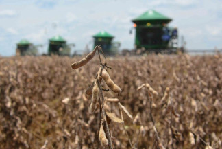 Previsão de trimestre quente e seco pode impactar produção agrícola no Estado
