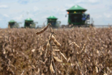 Previsão de trimestre quente e seco pode impactar produção agrícola no Estado