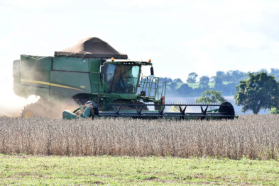 Mato Grosso do Sul registra a maior safra de soja da história