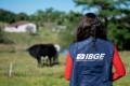IBGE abre 284 vagas em MS para o Censo Agropecuário com salários de até R$ 4 mil