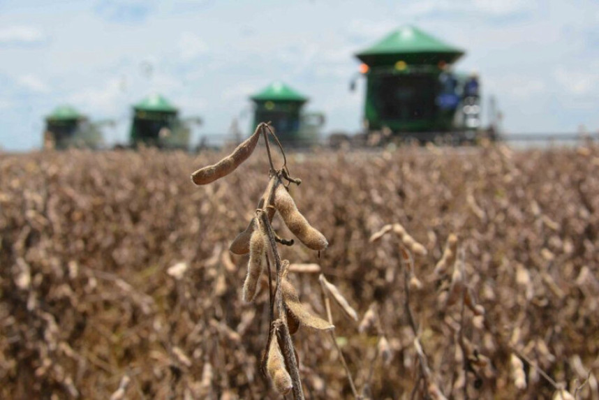 Contratação de seguro agrícola em MS cai quase pela metade