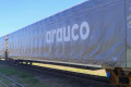 Arauco ganha aval para usar ferrovia e levar celulose de MS a Santos