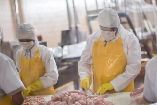 Frigoríficos sonegaram mais de meio bilhão de reais em MS