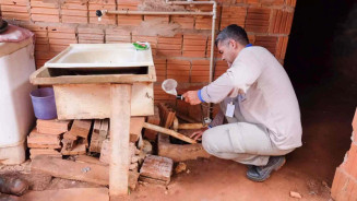 Dengue em MS: Confirmações aumentam 116,4% em uma semana, com 2 mortes em investigação