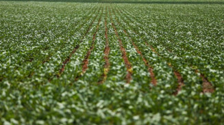 Agro 'empurra' PIB brasileiro, que cresce 3% em 2023, diz prévia da FGV
