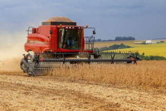 PIB do agronegócio de MS registra maior crescimento entre os estados