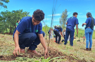Projeto com estudantes da escola Guateka realiza restauração de vegetação em Dourados