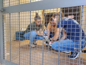 Mais de 2 mil animais silvestres já foram atendidos pelo CRAS