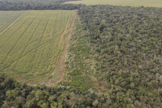 Concurso público do Imasul acontece após 18 anos para 99 servidores