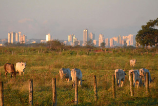Câmara da Capital "rasga" Plano Diretor ao retirar delimitação para expansão da zona urbana
