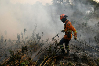 MS vai declarar emergência ambiental em todos os municípios em função incêndios