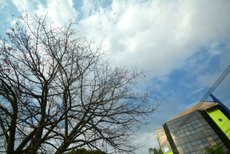 Semana começa com calor de 40ºC, mas vai terminar com frio de 10ºC