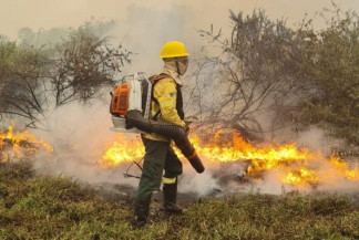 Incêndios devastam 1,6 milhão de hectares do Pantanal de MS