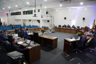 Aprovado projeto de lei que Institui o Plano Municipal pela Primeira Infância