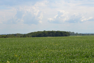 Produção em MS deve ser 35% maior e chegar a 27,4 milhões de toneladas de grãos