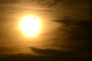 Chuva abaixo da média deve perdurar pelos próximos três meses no Estado