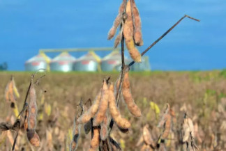 Após 9 anos, MS fechou 2024 com perda na arrecadação