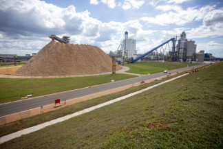 Megafábrica de celulose pode não sair do papel em MS