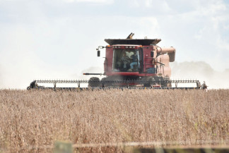 Na 2ª maior safra, MS produz 14,06 milhões de toneladas de soja