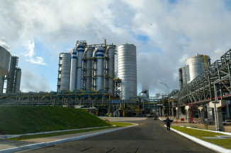 Com crescimento de 5,5%, agronegócio deve puxar PIB do Estado