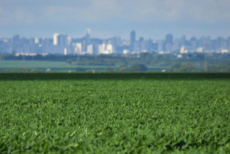 Sem derrubar florestas, MS dobra área de soja