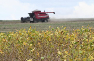 Com expectativa de safra recorde, MS começa o plantio da soja