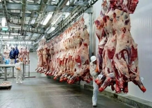 Mesmo sob tarifaço, exportação de carne dispara e se iguala à celulose no Estado