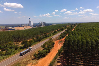 MS se consolida como estado exportador de produtos para mais de 120 países