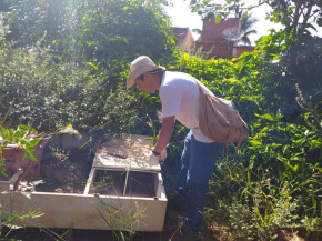 Dourados reforça alerta de combate à dengue com chuvas constantes
