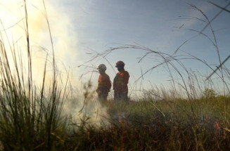MS tem redução expressiva em focos de incêndios e hectares afetados no Pantanal