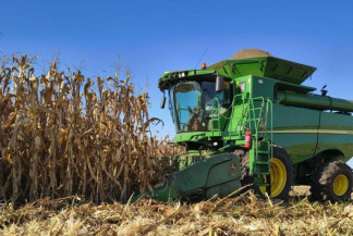 Agronegócio de MS avança e garante safra recorde de soja e milho